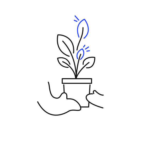Illustration of a plant growing